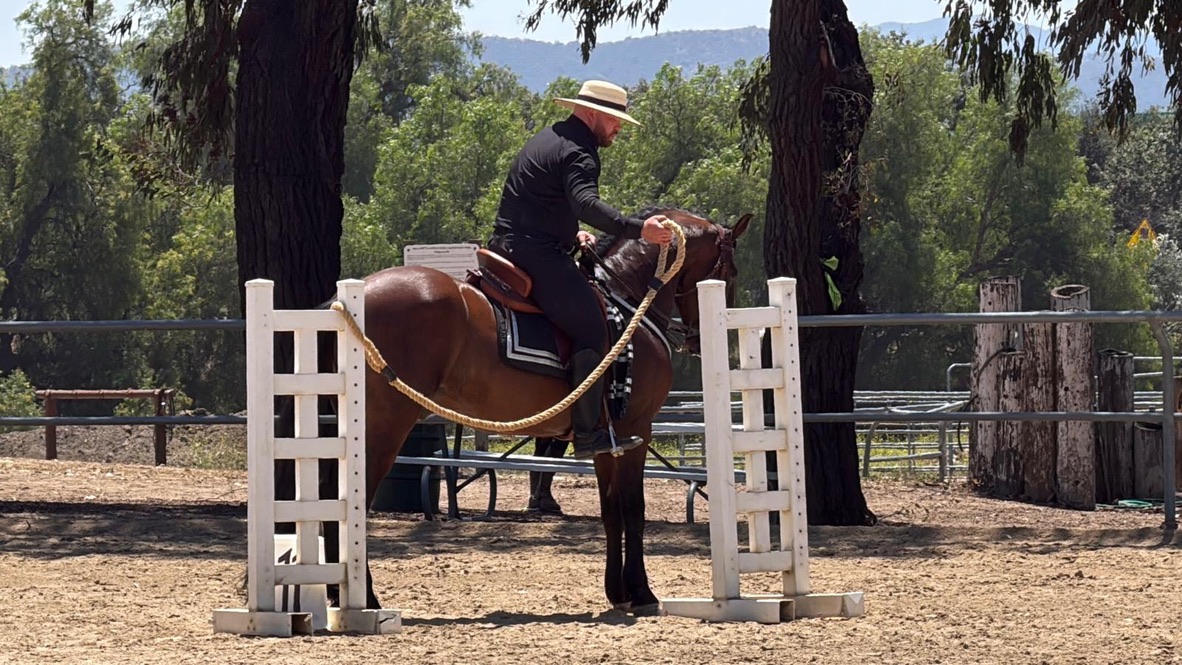 Working Equitation obstacle work at Hansen Dam Horse Park