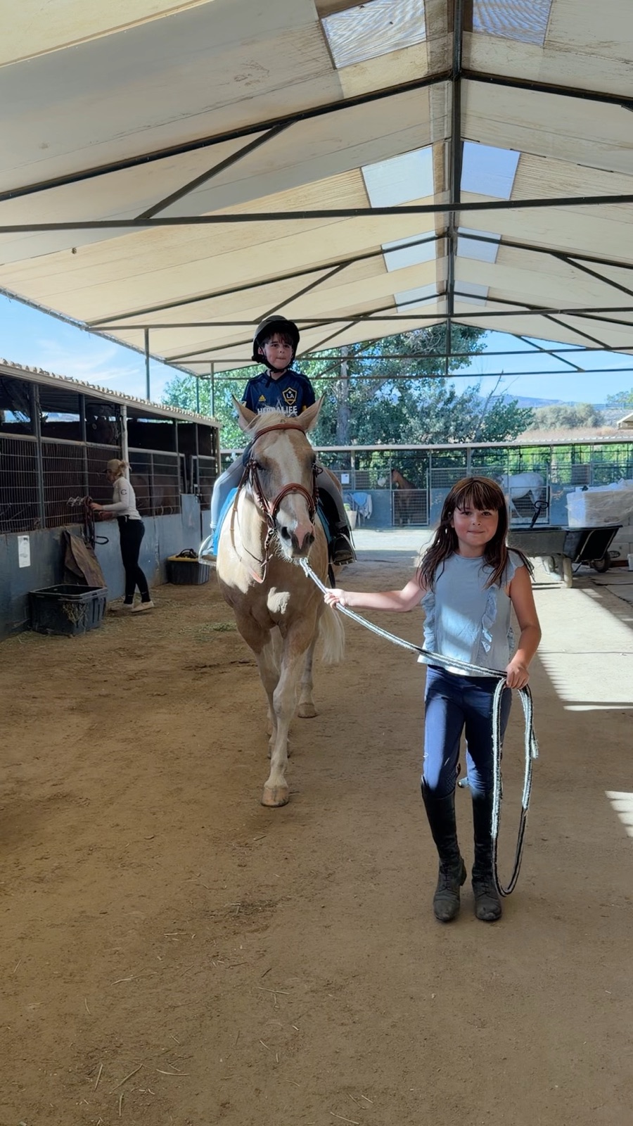 Life at the barn at Hussar Stables