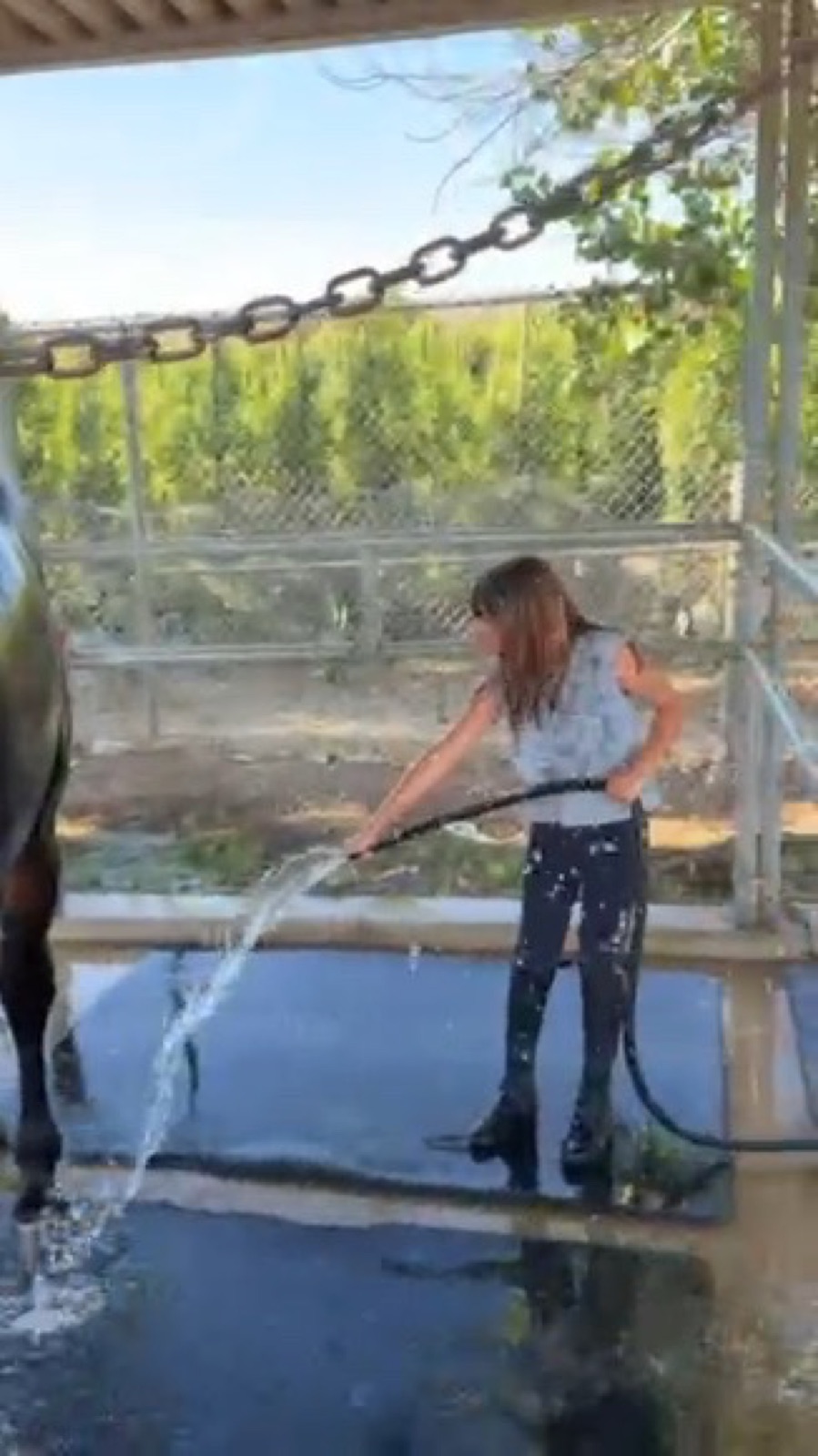 Young rider washing a horse after a lesson