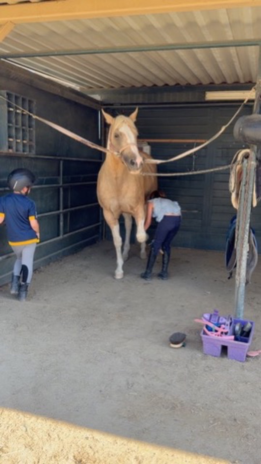 Young riders learning horsemanship