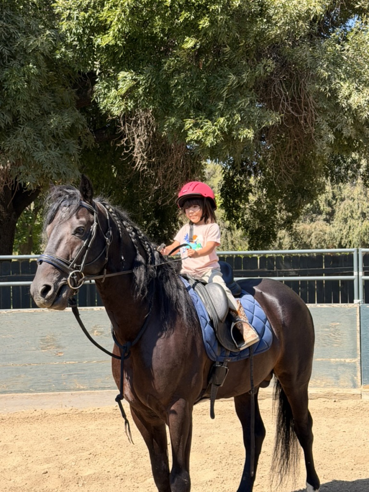 A young rider with a lesson horse