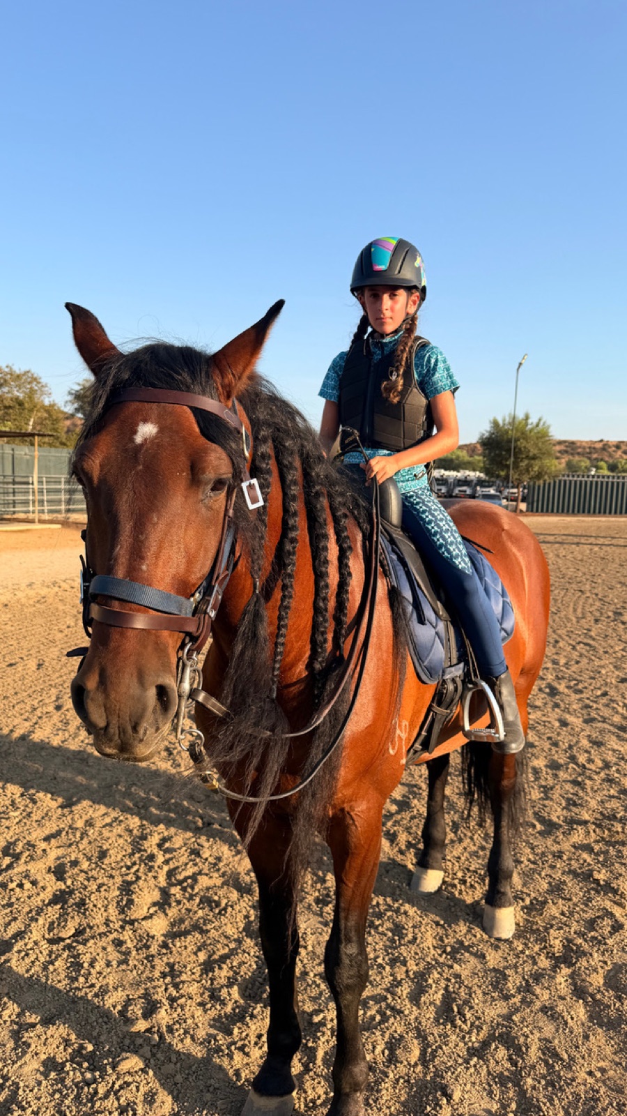 Young rider on a bay horse with a braided mane