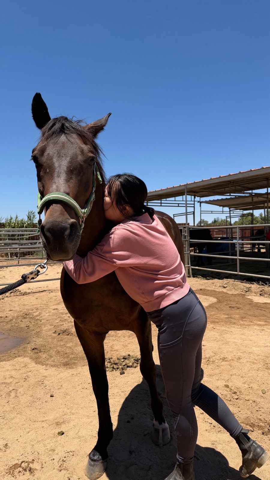 Young rider hugging her horse at Hussar Stables