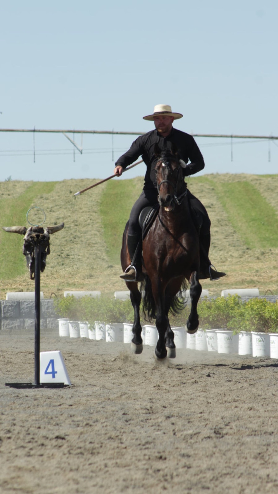 Working Equitation speed phase with garrocha pole
