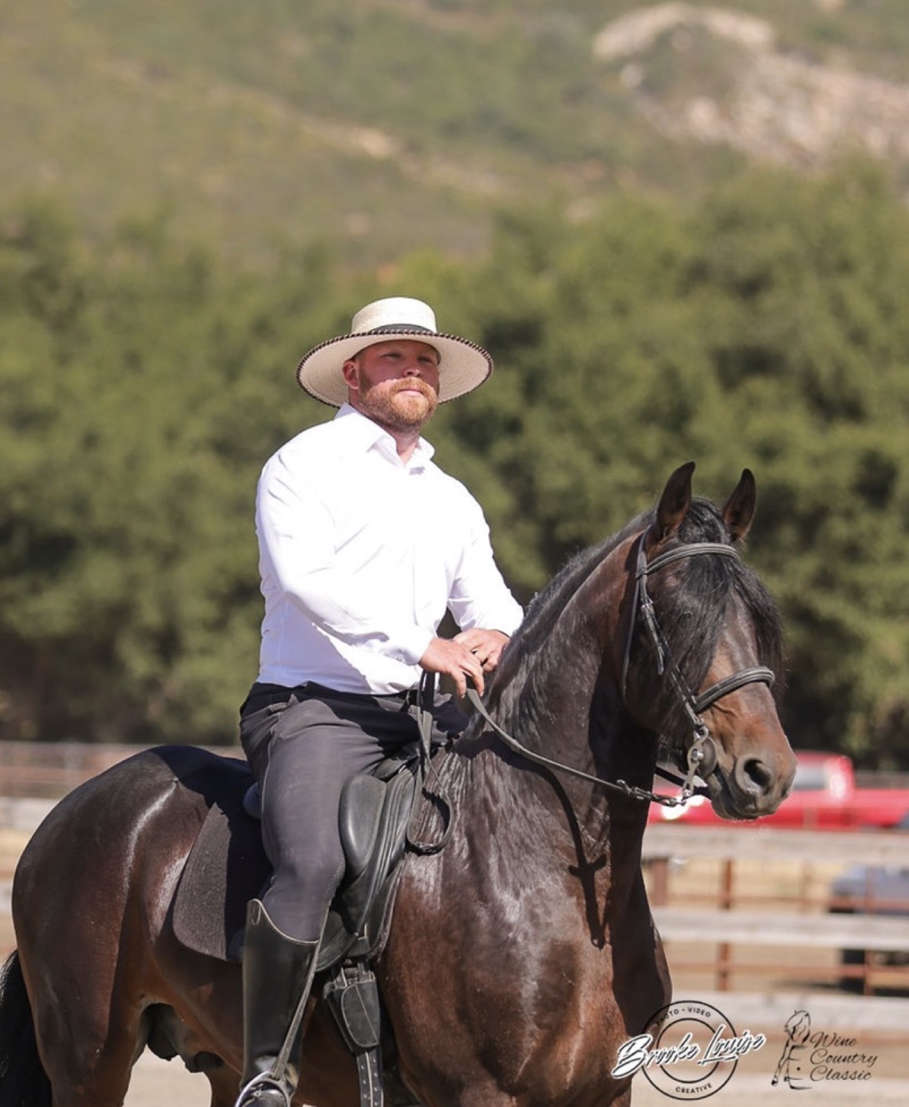 Show day at a Working Equitation competition