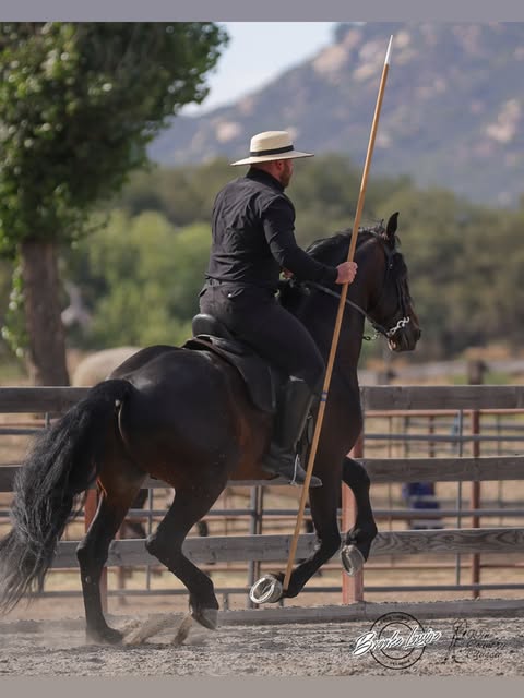 Hussar Stables on Instagram