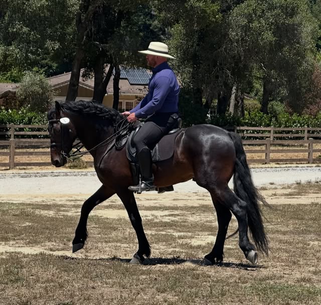 Hussar Stables on Instagram