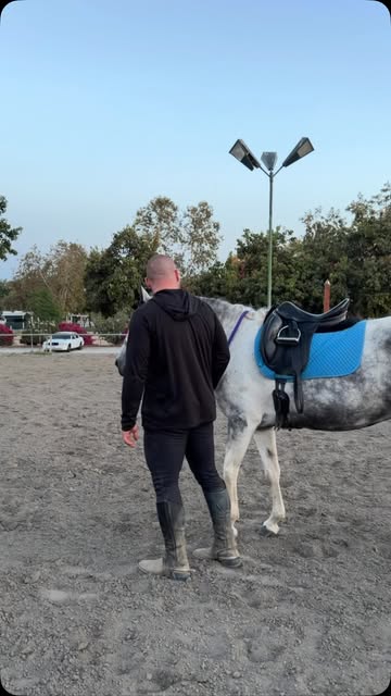 Hussar Stables on Instagram