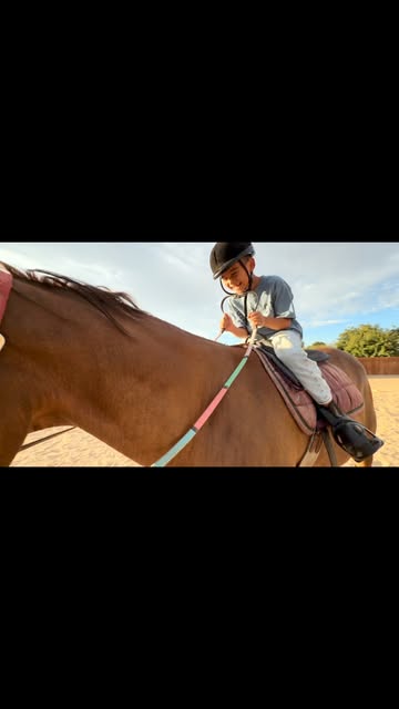 Hussar Stables on Instagram