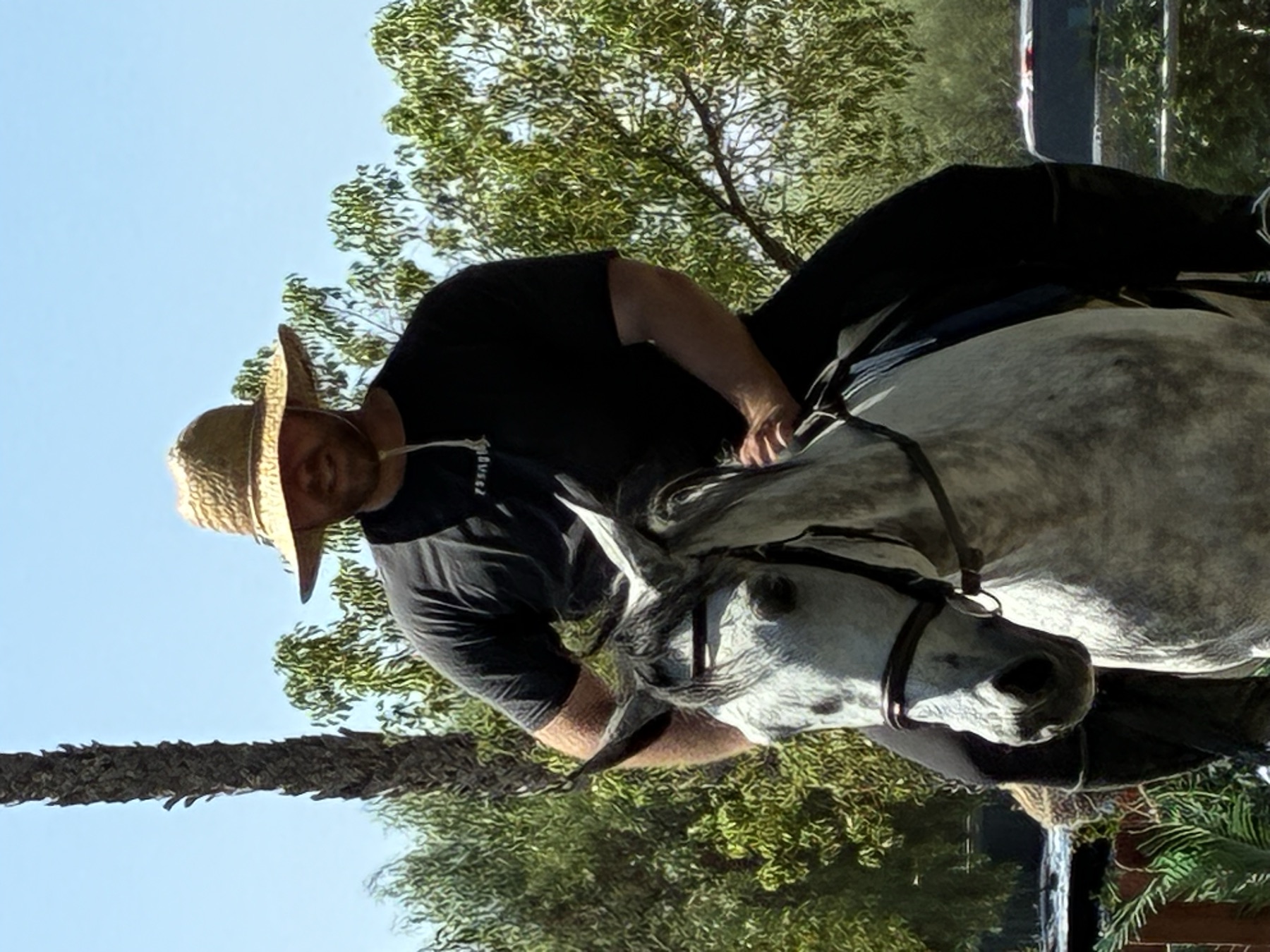 Adam Olejniczak riding a grey horse under the trees