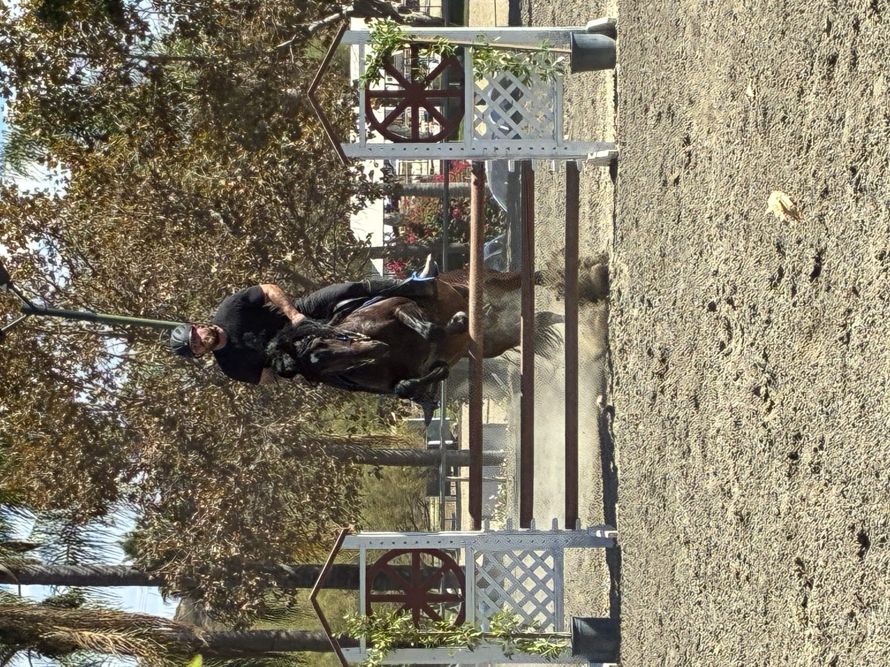 Adam Olejniczak jumping a bay horse over a Working Equitation obstacle at Hansen Dam Horse Park