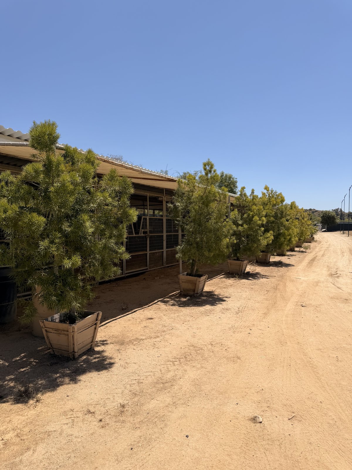 Hussar Stables at Hansen Dam Horse Park